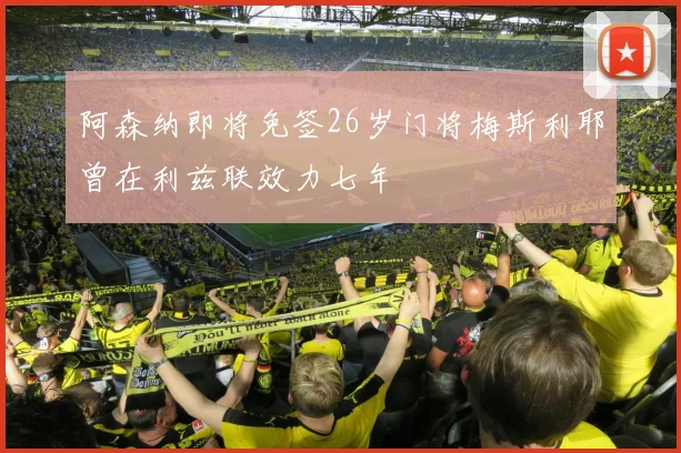 阿森纳即将免签26岁门将梅斯利耶曾在利兹联效力七年